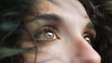 WordPress visual customizer support
