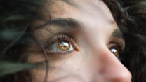 WordPress visual customizer support