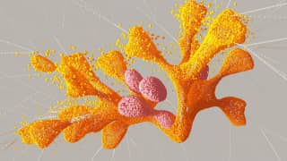 Scientists have created a new medicine