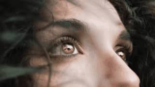 WordPress visual customizer support