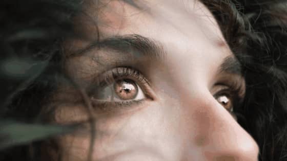WordPress visual customizer support