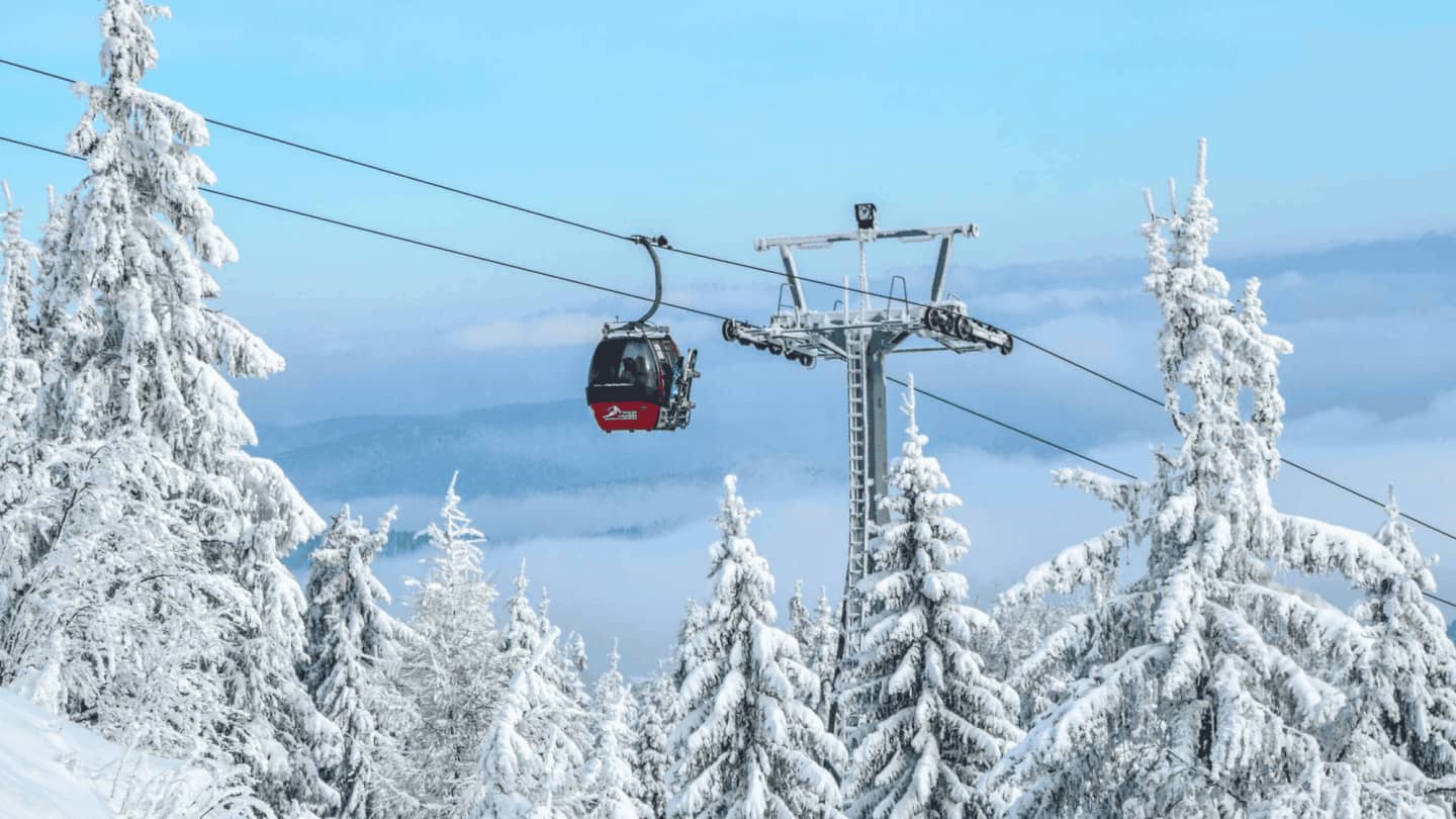 Consider the best ski resorts