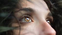 WordPress visual customizer support